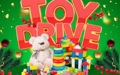 Annual Unwrapped Toy Collection